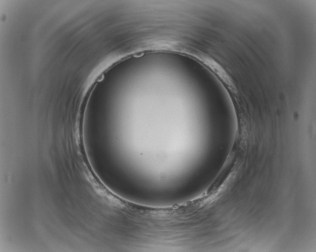 X0000062930904200601131508