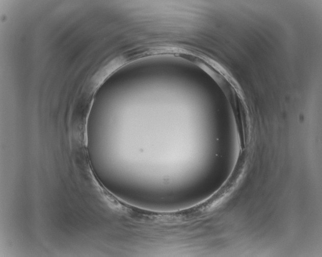 X0000062930905200601131508