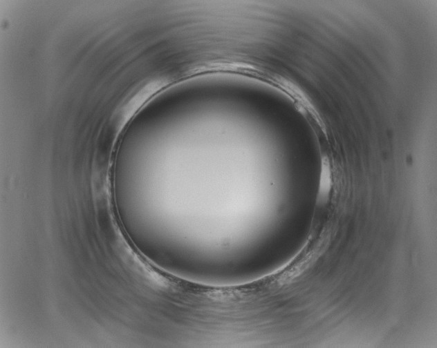 X0000062930906200601131508