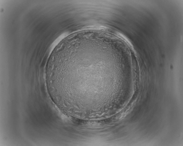 X0000062930907200601131508