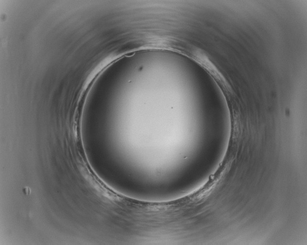 X0000062930908200601131508