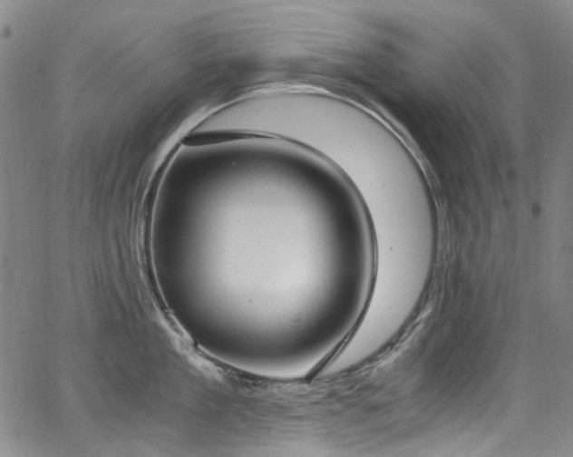 X0000062930909200601131508