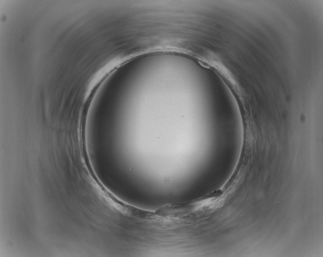 X0000062930910200601131508