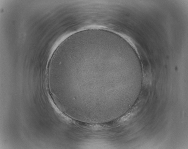 X0000062930911200601131508