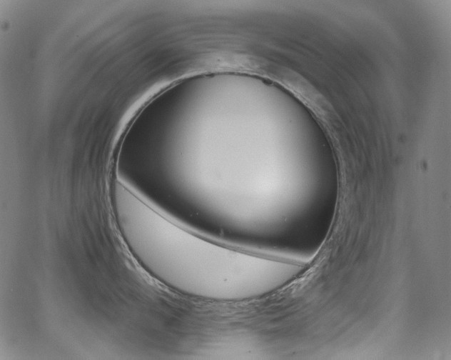 X0000062930912200601131508