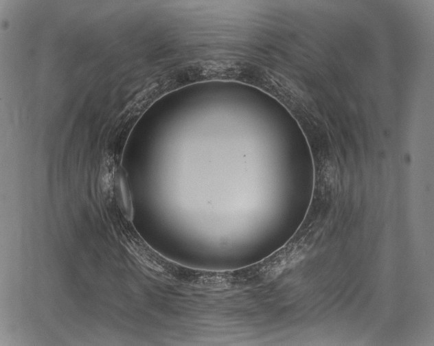 X0000062930914200601131507