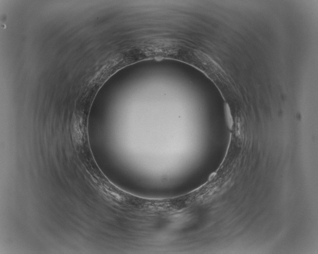 X0000062930915200601131507