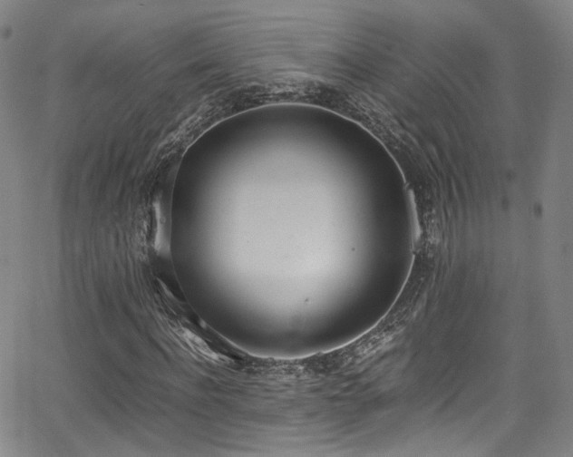 X0000062930916200601131507