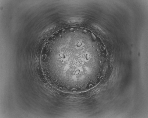 X0000062930917200601131507