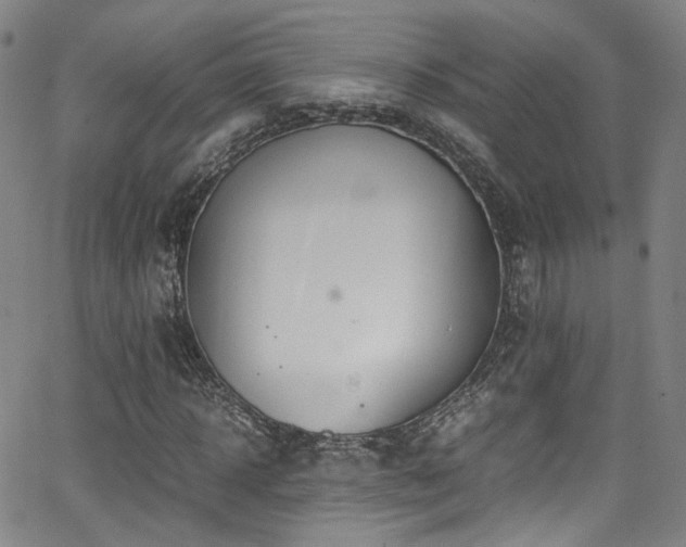 X0000062930918200601131507