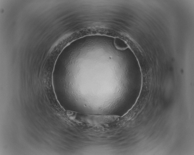 X0000062930919200601131507