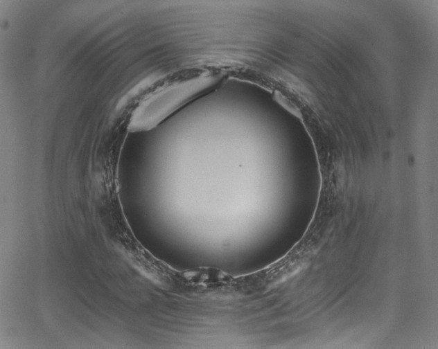 X0000062930920200601131507