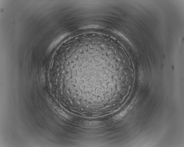 X0000062930921200601131507