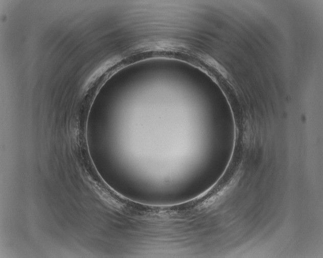 X0000062930922200601131507