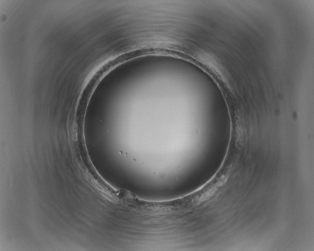 X0000062930924200601131507