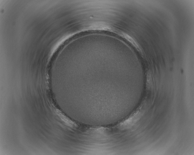 X0000062930926200601131507