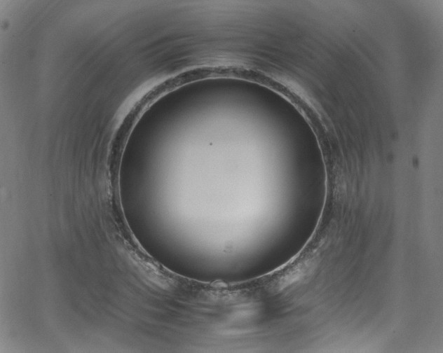 X0000062930927200601131507