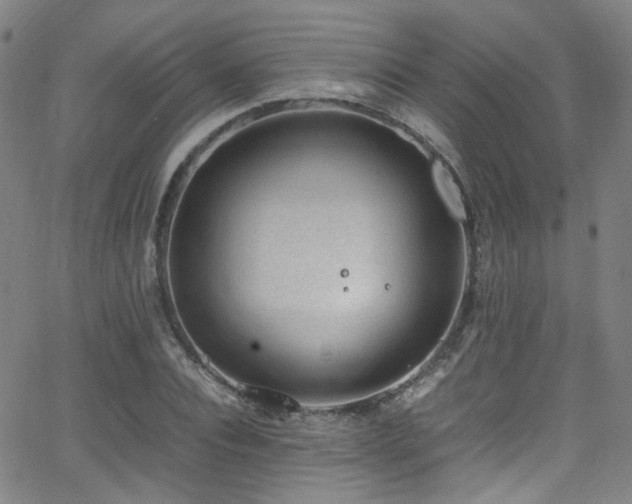 X0000062930928200601131507