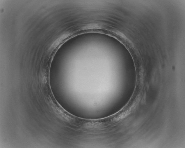 X0000062930929200601131507