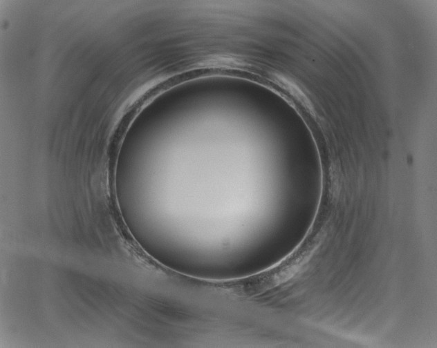 X0000062930931200601131507