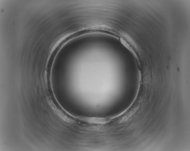 X0000062930932200601131507