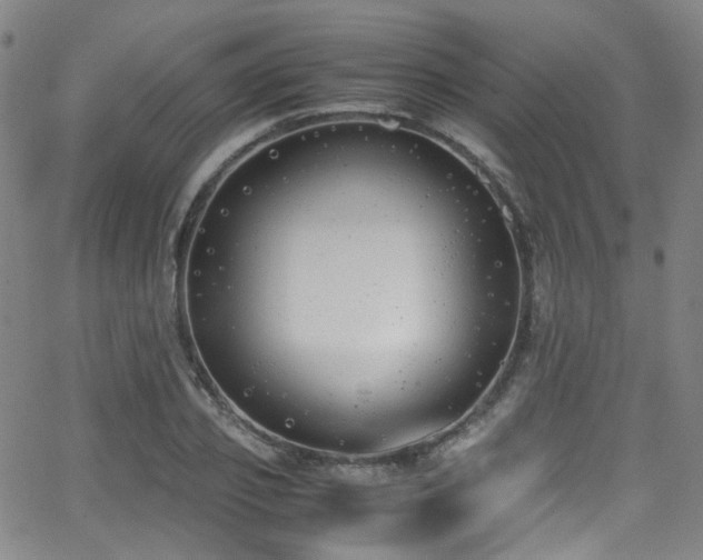 X0000062930933200601131507