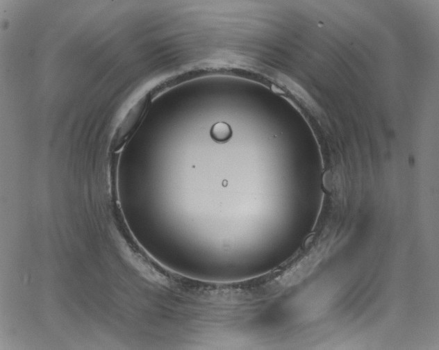 X0000062930934200601131507