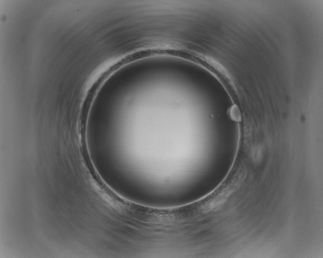 X0000062930935200601131507