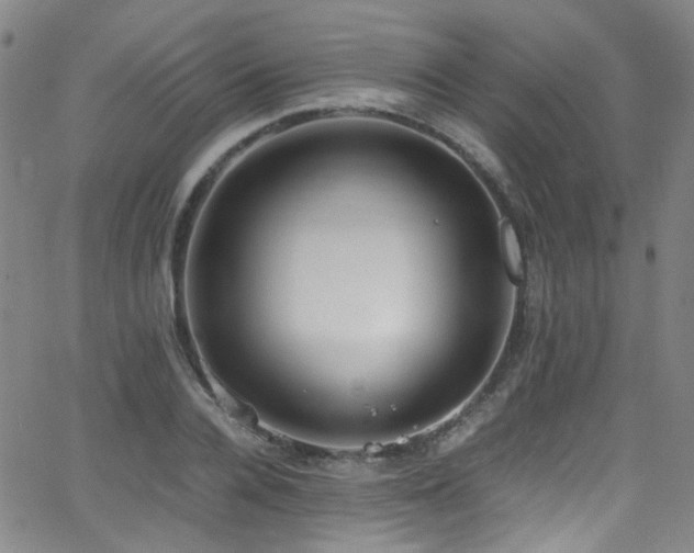 X0000062930936200601131507