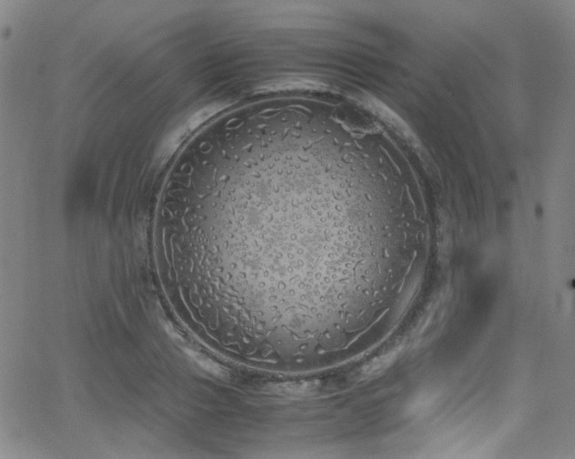 X0000062930937200601131507