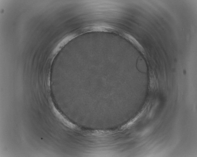 X0000062930938200601131507