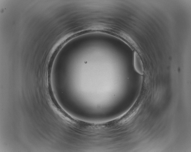 X0000062930939200601131507