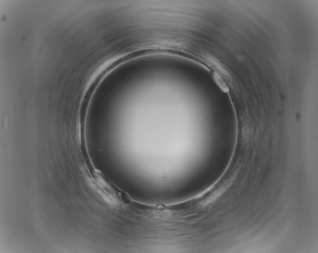 X0000062930940200601131507