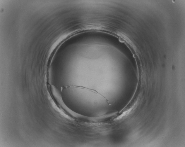 X0000062930941200601131508