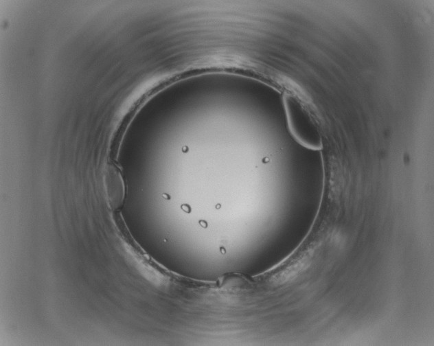 X0000062930942200601131508