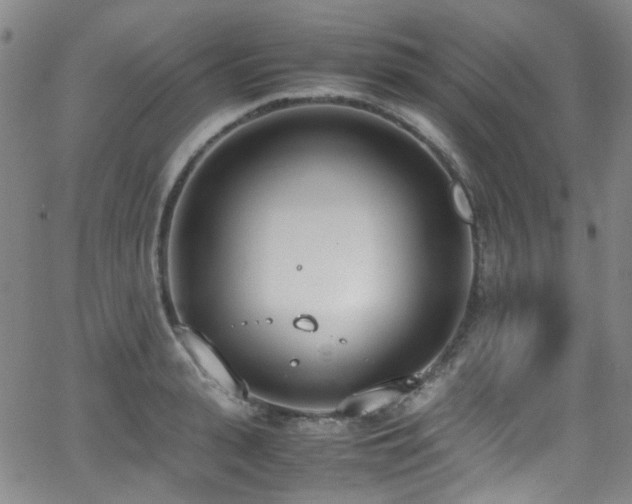 X0000062930943200601131508