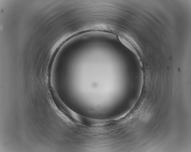 X0000062930944200601131508