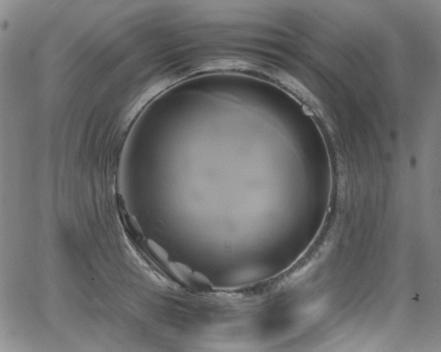 X0000062930945200601131508