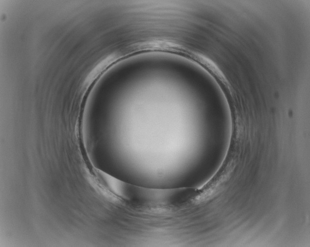 X0000062930946200601131508