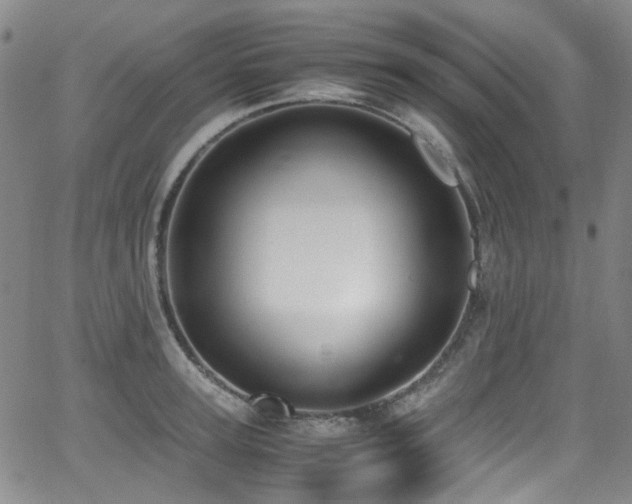 X0000062930947200601131508