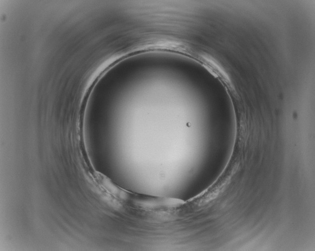 X0000062930948200601131508