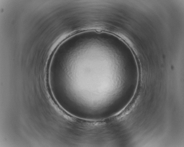 X0000062930949200601131508