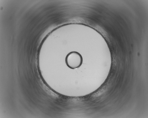 X0000062930950200601131508