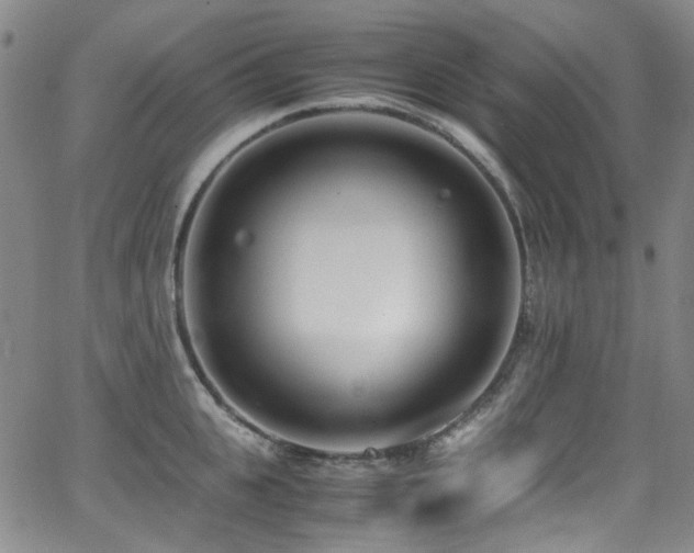 X0000062930951200601131508