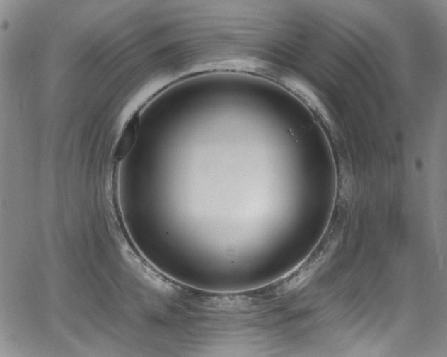 X0000062930952200601131508