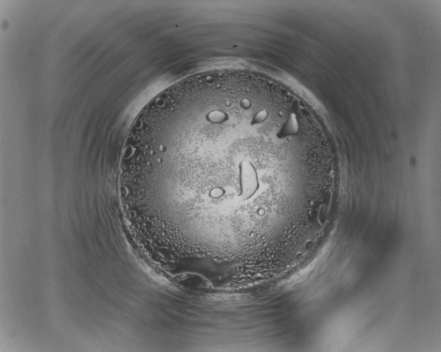 X0000062930953200601131508