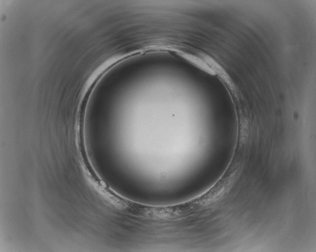 X0000062930955200601131508