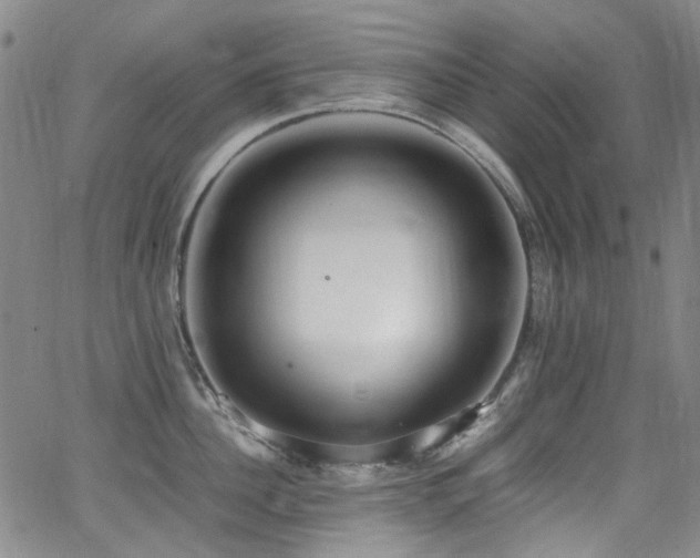 X0000062930956200601131508