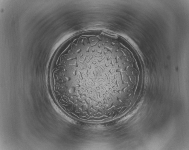 X0000062930957200601131508