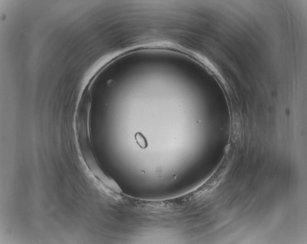 X0000062930959200601131508